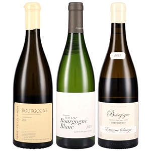 2021年ACブルゴーニュ3本セット