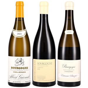 希少ワインを入れたACブルゴーニュ・ブラン 3本セット