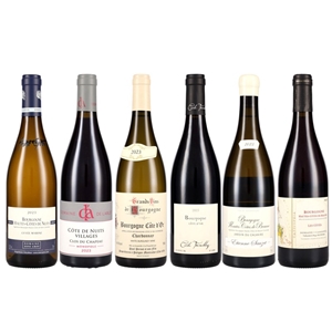  セシル・トランブレイを中心に広域ワイン6本セット。